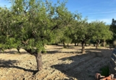 Chalet independiente con terreno en venta en la España, Chelva, ref: TR414999 foto