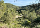 Chalet independiente con terreno en venta en la España, Chelva, ref: TR414999 foto