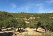 Chalet independiente con terreno en venta en la España, Chelva, ref: TR414999 foto