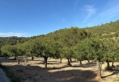 Chalet independiente con terreno en venta en la España, Chelva, ref: TR414999 foto
