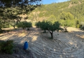 Chalet independiente con terreno en venta en la España, Chelva, ref: TR414999 foto
