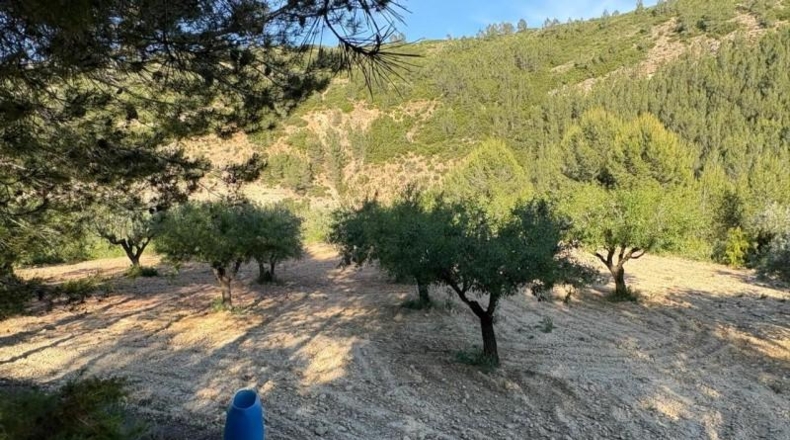 València - Chelva - 32485m2