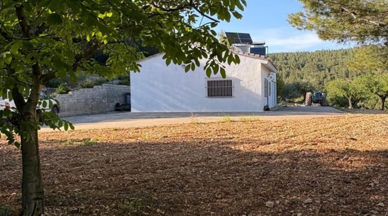 València - Chelva - 32485m2