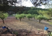 Chalet independiente con terreno en venta en la España, Chelva, ref: TR414999 foto