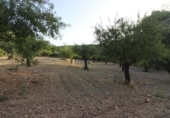 Chalet independiente con terreno en venta en la España, Chelva, ref: TR414999 foto