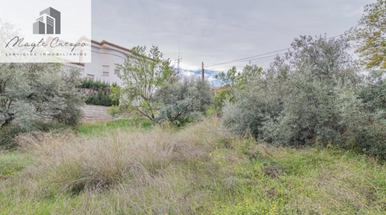Cantabria - Пескера - 500m2