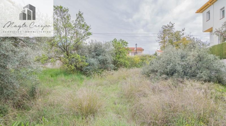 Cantabria - Пескера - 500m2