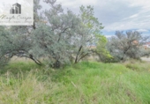 Parcela urbanizable en venta en la España, Güéjar Sierra, ref: TR255780 foto
