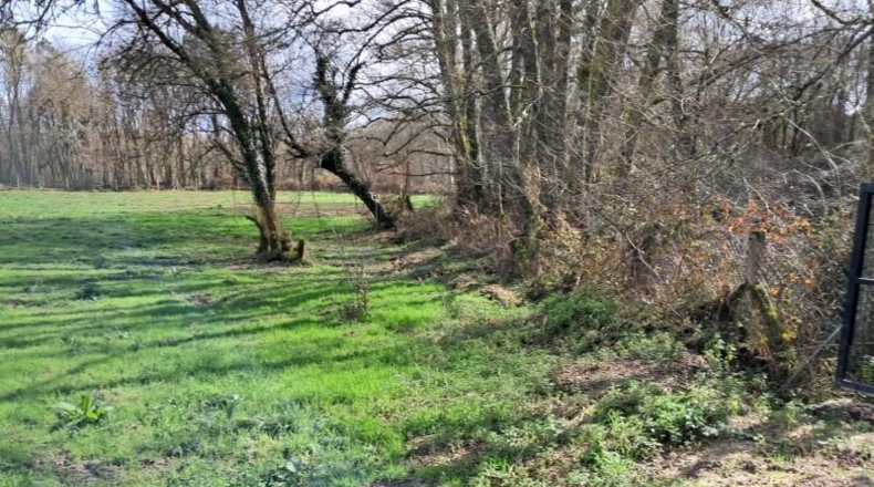 Orense - Vilamarín - 11159m2