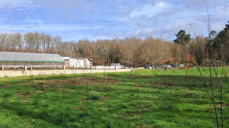Orense - Vilamarín - 11159m2