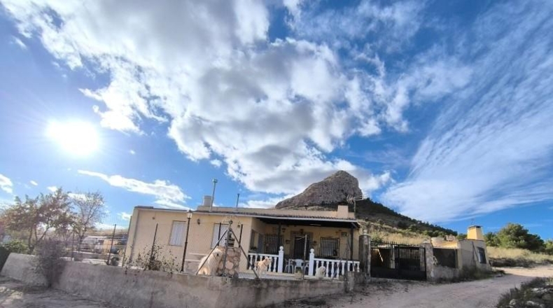 Murcia - Йекла - 12800m2