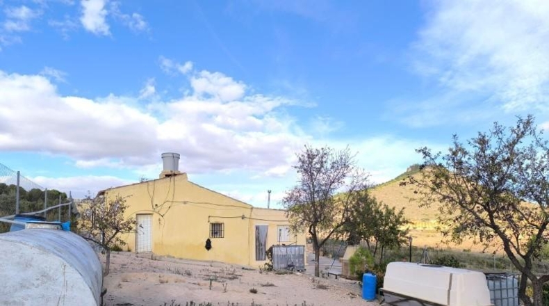 Murcia - Йекла - 12800m2