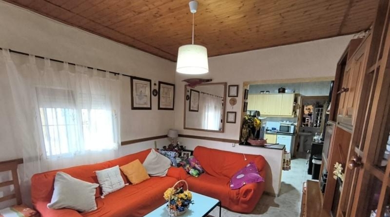Murcia - Йекла - 12800m2