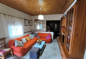 Yecla 12800&nbsp;m²