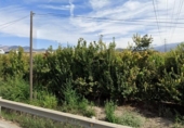 Chalet independiente con terreno en venta en la España, Granada, ref: TR415019 foto