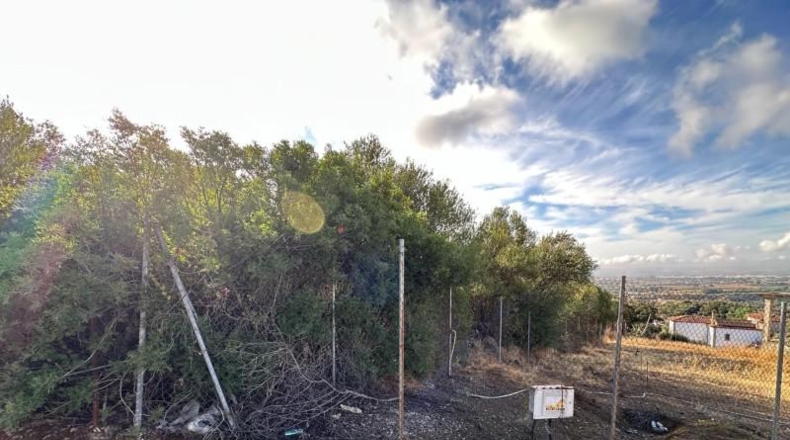 Córdoba - Alcolea - 11720m2