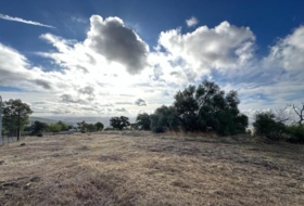 Alcolea 11720&nbsp;m²