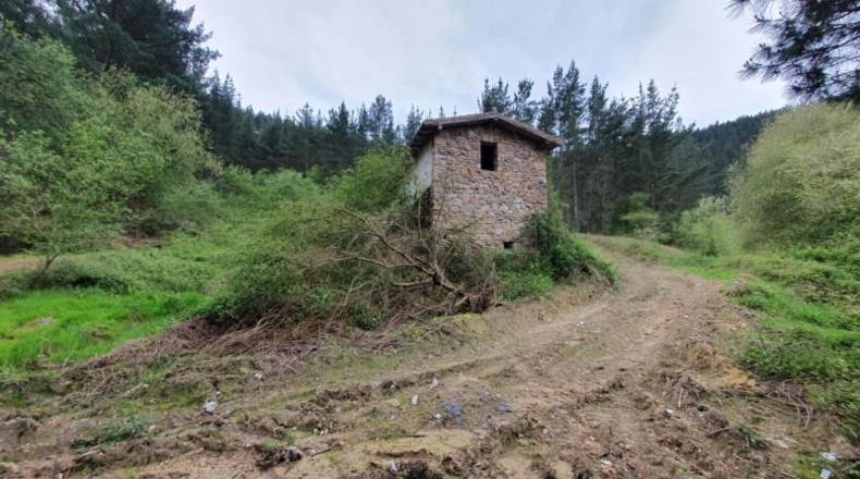 Alava - Llodio - 141351m2