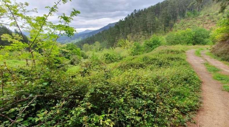 Alava - Llodio - 141351m2