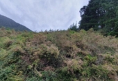 Non-developable land for sale on España, Llodio, ref: TR236257 photo