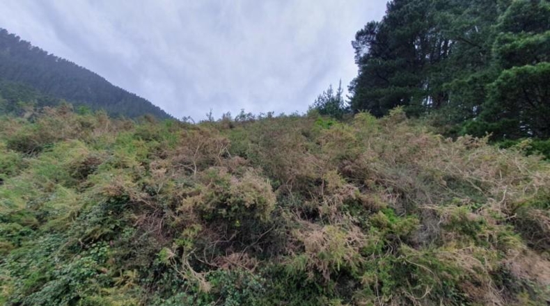 Alava - Llodio - 141351m2