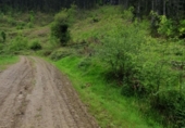 Non-developable land for sale on España, Llodio, ref: TR236257 photo