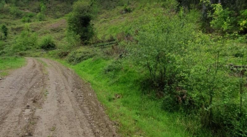 Alava - Llodio - 141351m2