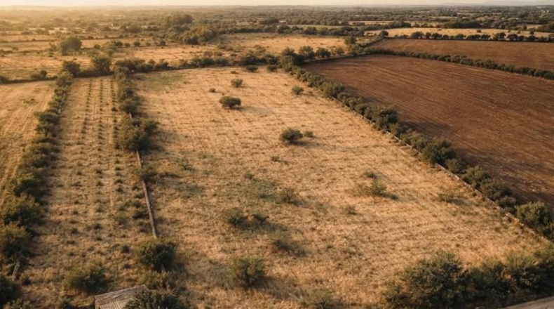 Балеарские острова - Lluchmayor - 15000m2
