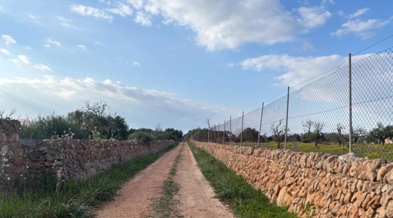 Балеарские острова - Lluchmayor - 15000m2