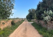 Terreno no urbanizable en venta en la España, Llucmajor, ref: TR396426 foto