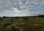 Terreno no urbanizable en venta en la España, Llucmajor, ref: TR396426 foto