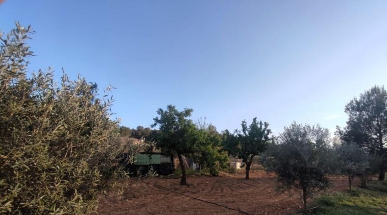 Alicante - Pinoso - 5170m2