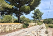 Finca rústica en venta en la España, Manacor, ref: TR415051 foto