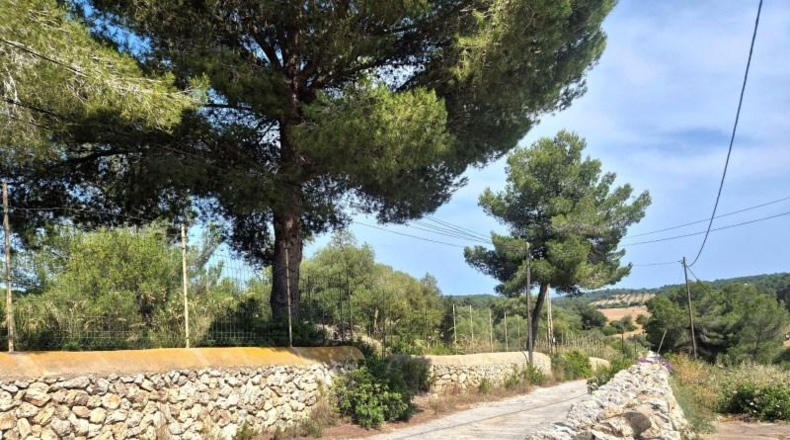 Illes Balears - Manacor - 2531m2