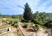 Finca rústica en venta en la España, Manacor, ref: TR415051 foto