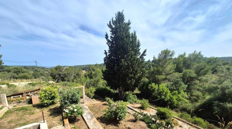 Illes Balears - Manacor - 2531m2