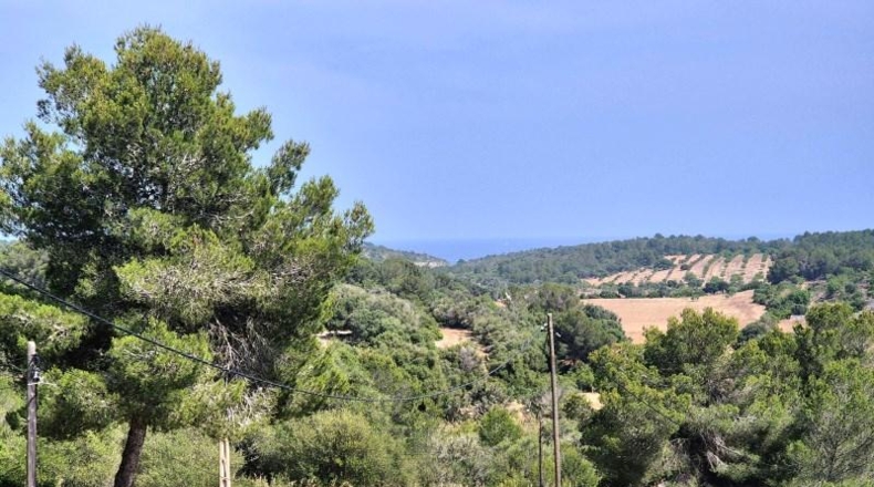 Illes Balears - Manacor - 2531m2