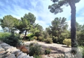 Finca rústica en venta en la España, Manacor, ref: TR415041 foto