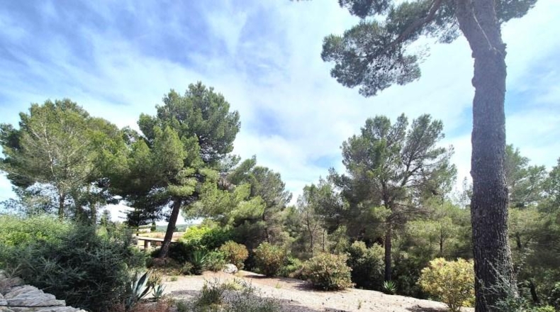 Illes Balears - Manacor - 2258m2