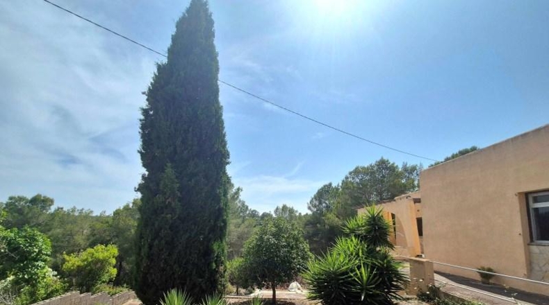 Illes Balears - Manacor - 2258m2