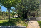 Chalet independiente con terreno en venta en la España, Pedralba, ref: TR415045 foto