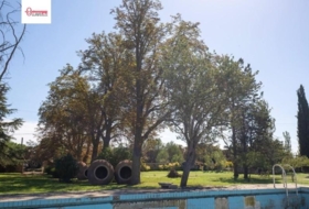 Palencia 7000&nbsp;m²