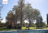 Casa de campo con terreno en venta en la España, Palencia, ref: TR415049 foto