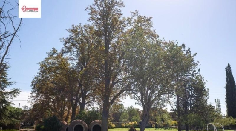 Palència - Palencia - 7000m2
