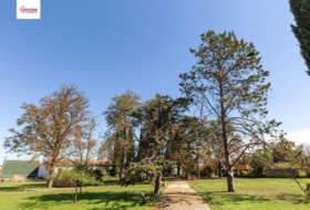 Palencia 7000&nbsp;m²