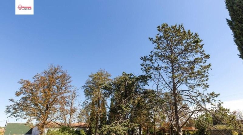 Palència - Palencia - 7000m2