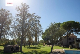 Palencia 7000&nbsp;m²