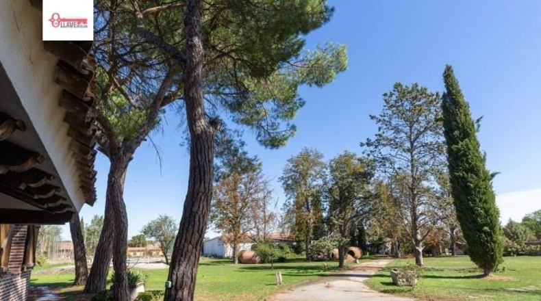 Palència - Palencia - 7000m2