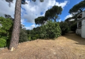 Chalet independiente con terreno en venta en la España, Córdoba, ref: TR410393 foto