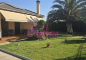 Chalet independiente con terreno en venta en la España, La Carlota, ref: TR415059 foto